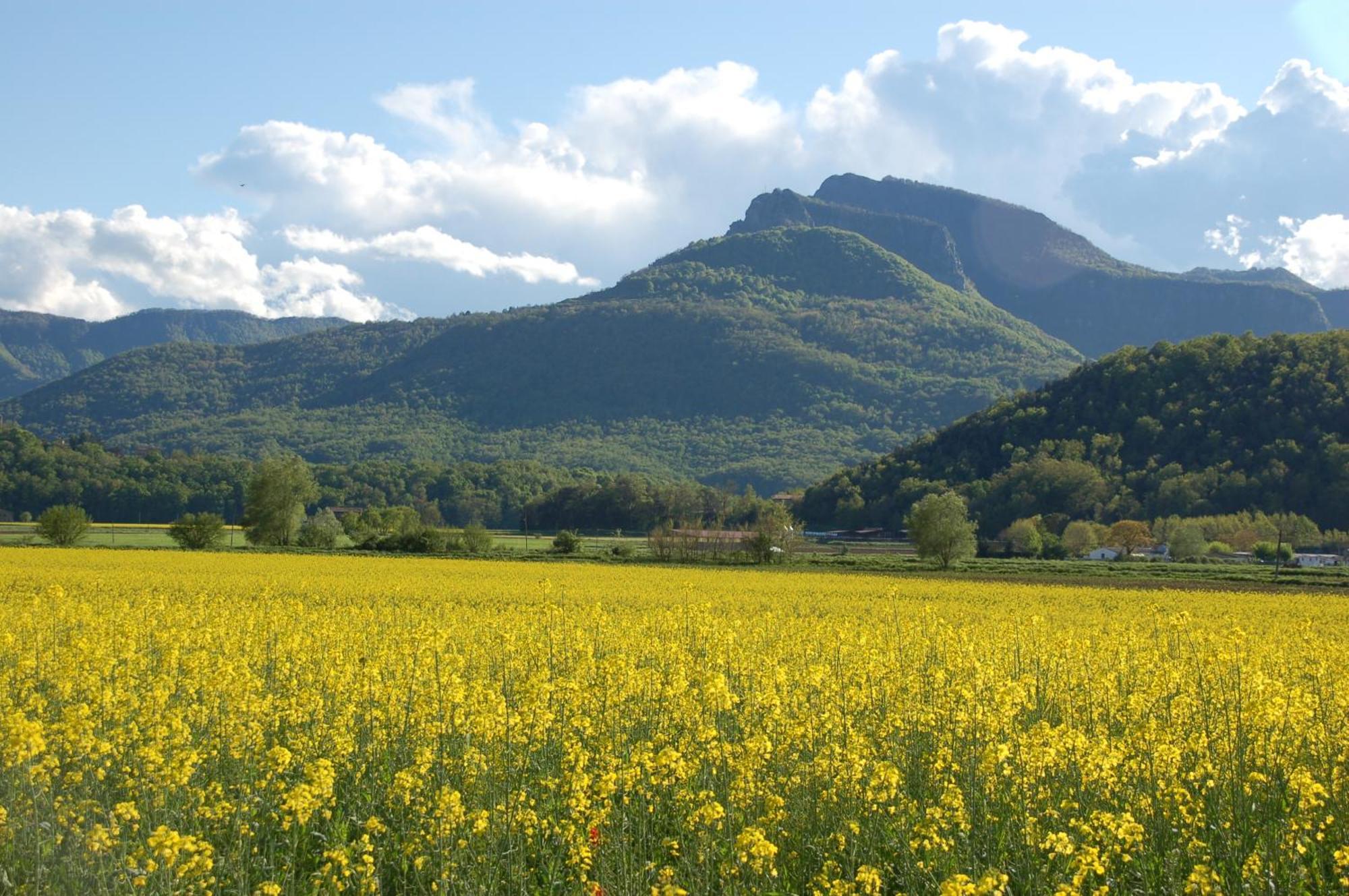 Casa Rural Mas Garganta La Pinya エクステリア 写真