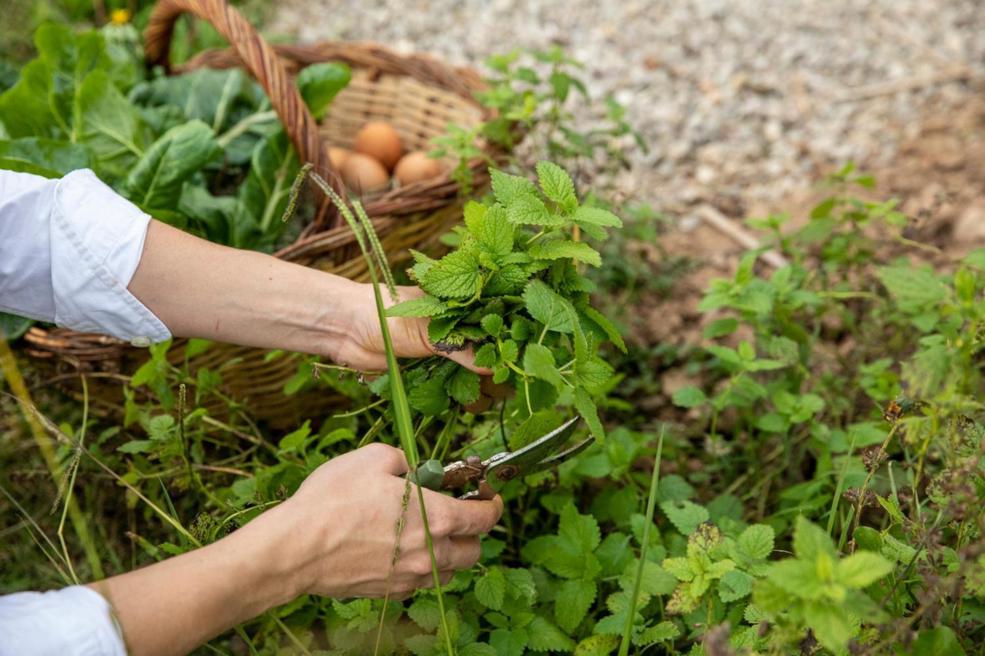Casa Rural Mas Garganta La Pinya エクステリア 写真
